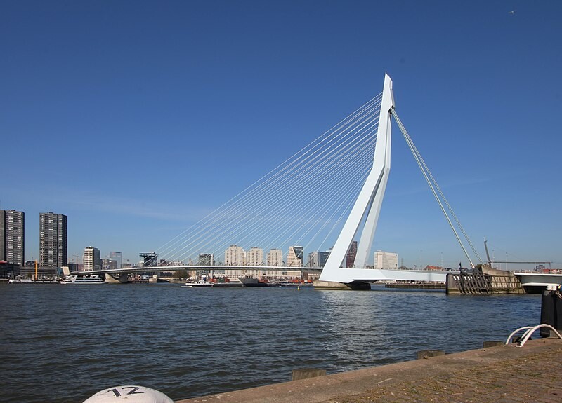 Erasmusbrug, Rotterdam  Modern cable stayed bridge with what some describe as swan shaped single tower on one side.  The bridge is in a striking white colour with blue sky and water below  Image: https://www.flickr.com/people/39511981@N04  https://creativecommons.org/licenses/by-sa/2.0/deed.en  No changes made